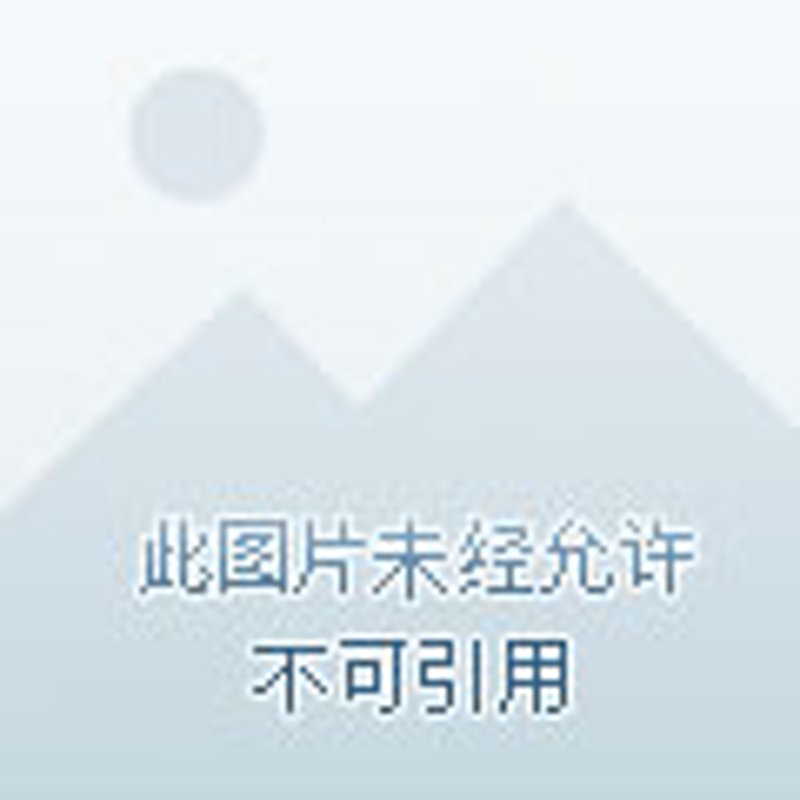 万宁小程序开发引领本地商家快速布局数字化时代