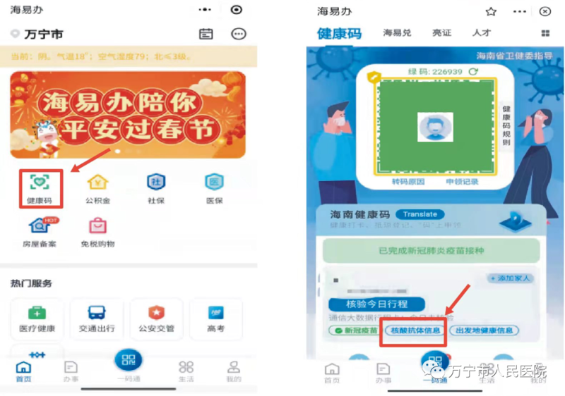 万宁网站建设：构建数字化桥梁